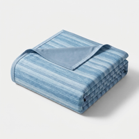 Light Blue Stripes